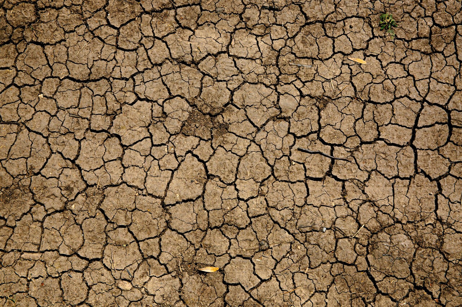 Brown and black concrete floor - https://unsplash.com/photos/brown-and-black-concrete-floor-GKFsewk-hz0 Free licensing from unsplash