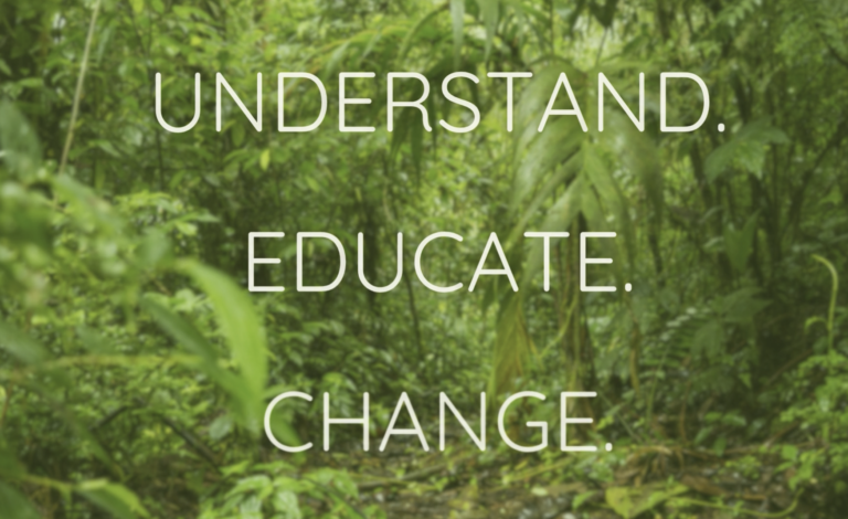 Anchorbridge International slogan from their website